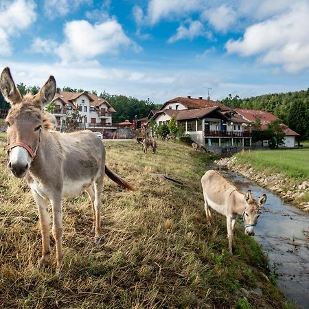 Hotel Ekoturizem Hudicevec Postojna Exteriér fotografie