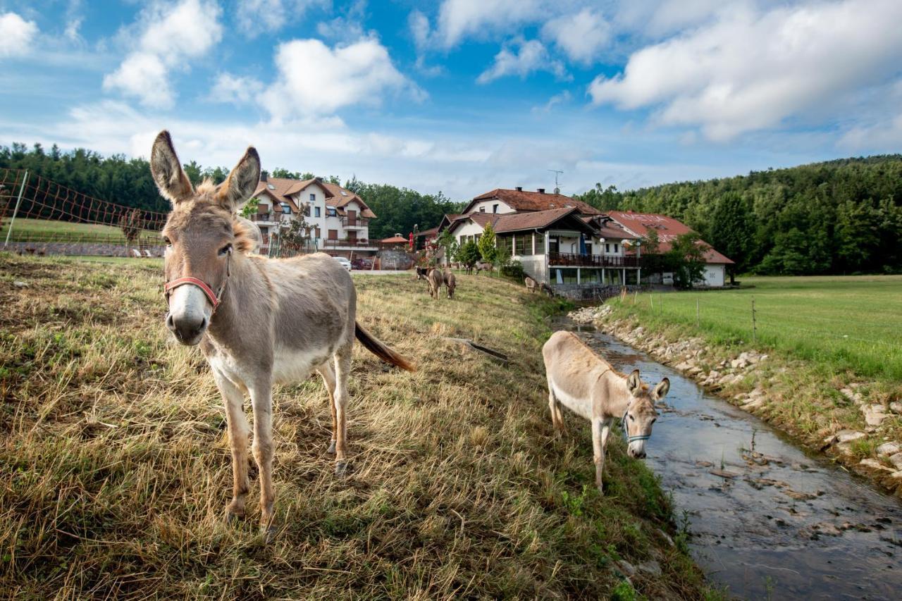 Hotel Ekoturizem Hudicevec Postojna Exteriér fotografie